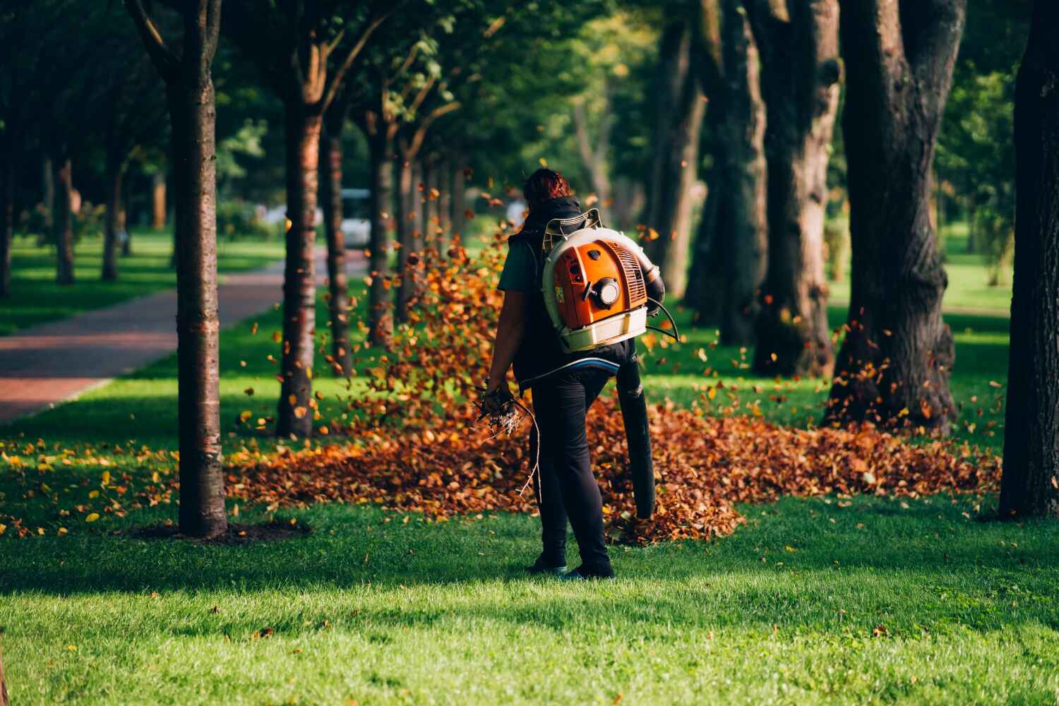 Reliable La Grange, IL Tree Service Solutions